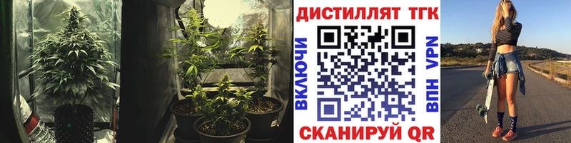 Дистиллят ТГК THC oil  Купить закладки  Старая Русса 