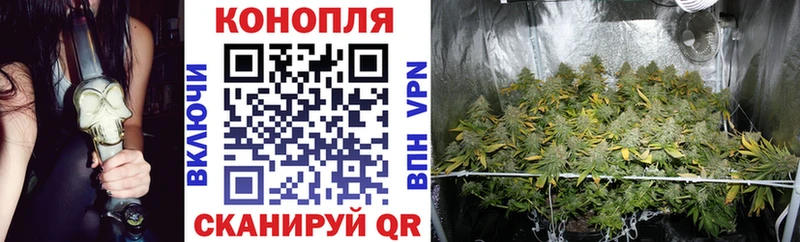 Купить  Старая Русса  Бошки марихуана Ganja 